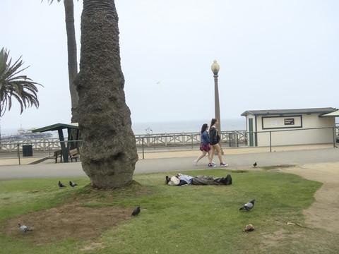公園小憩