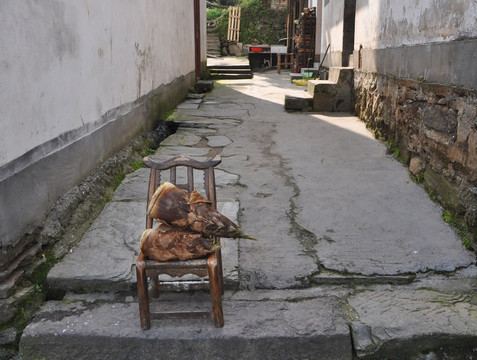 竹筍