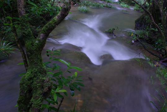 溪水