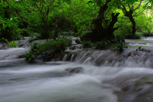 自然生態(tài)