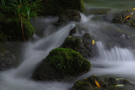 山澗 溪流
