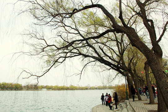 北京玉淵潭
