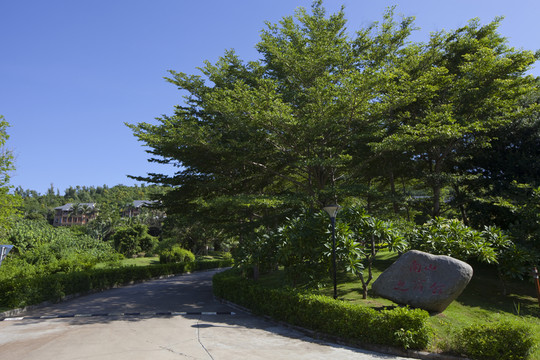 南山文化旅游區(qū) 海南省 三亞