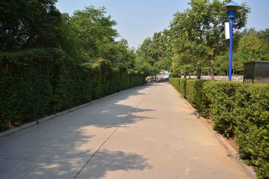 公園