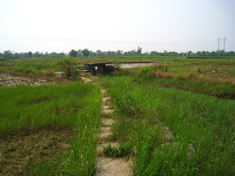 四塘古道