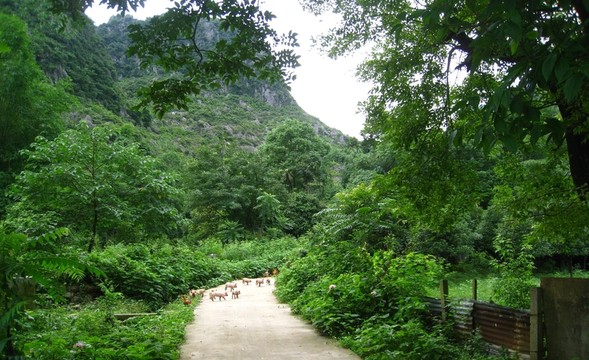 臨桂田心里
