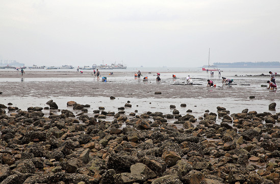 海灘