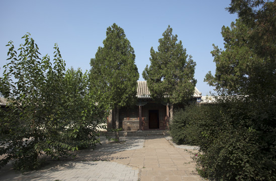 樹(shù)