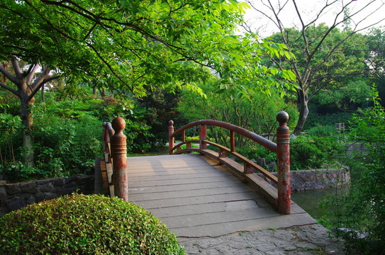 樹(shù)林小橋
