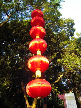 綠樹(shù)上的紅燈籠