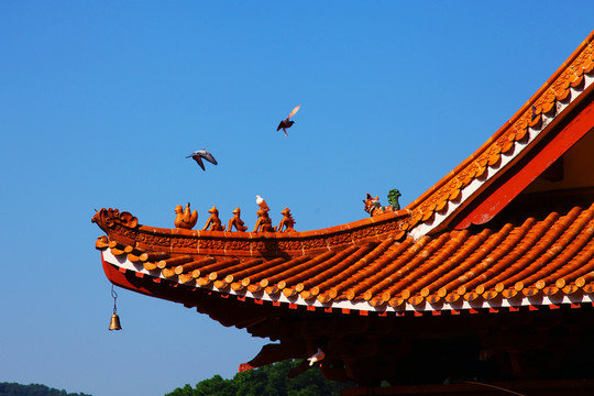 深圳弘法寺山門