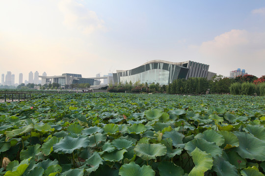 琴臺(tái)大劇院