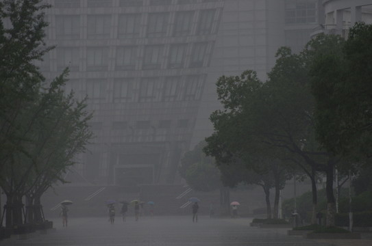 雨
