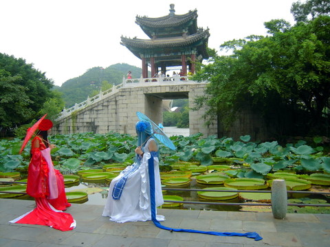 蓮塘悅色