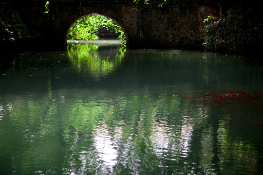 魚(yú) 鯉魚(yú) 錦鯉 紅鯉魚(yú) 黃鯉魚(yú)