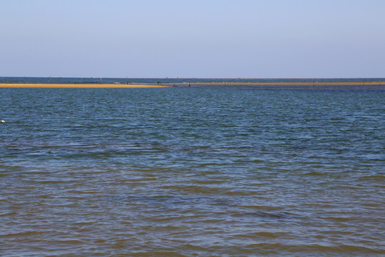 大海