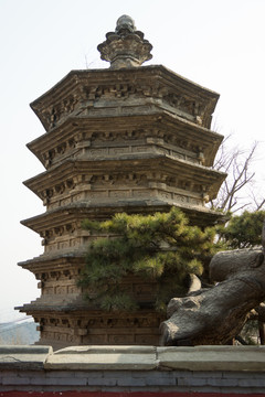 古松寶塔