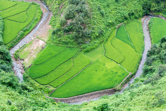 俯拍 農(nóng)田