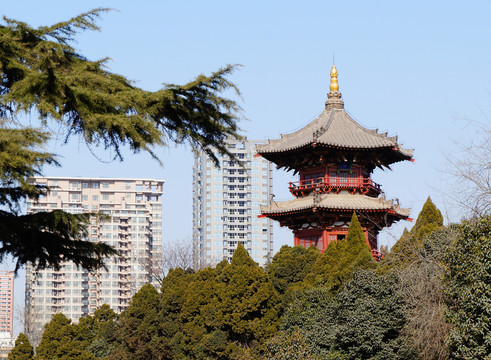西安興慶公園