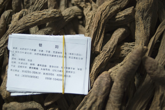 補(bǔ)品