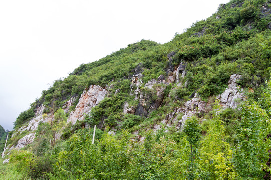 山
