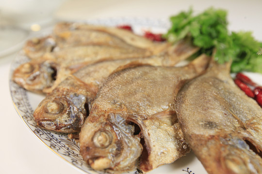 魚