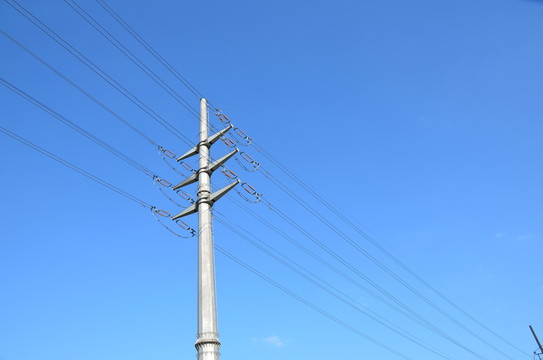 電線桿