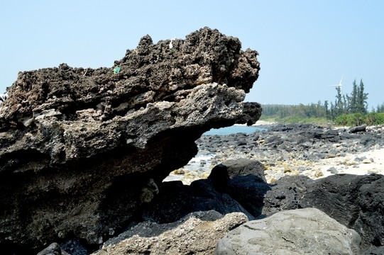 海島 礁石