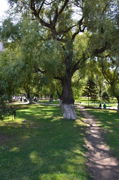 藍(lán)天白云下的公園