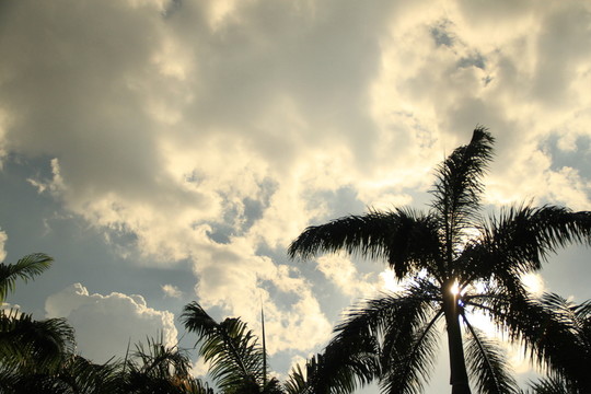 霧霾天氣