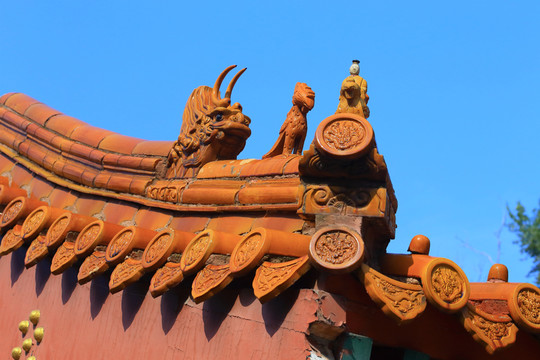 哈爾濱文廟