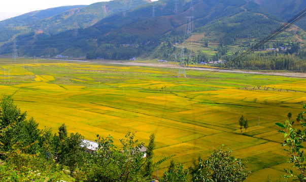 田園風(fēng)光
