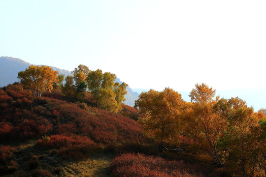 井兒梁