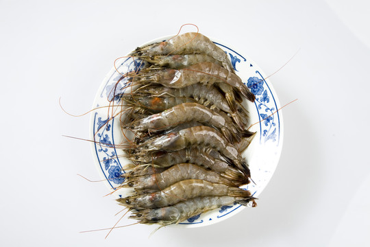 一盤蝦