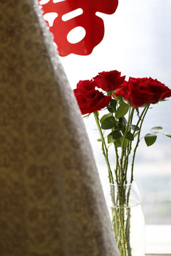 玫瑰花