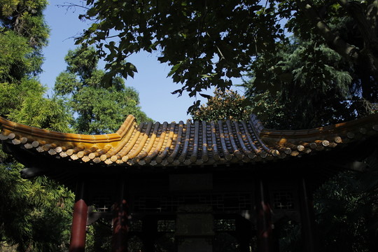 綠樹掩映的二忠祠