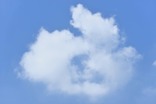 龍型白云