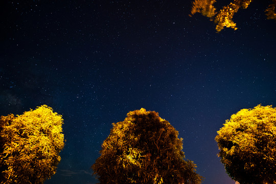星空 銀河