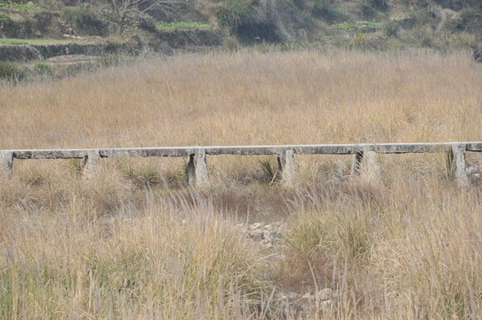 石橋