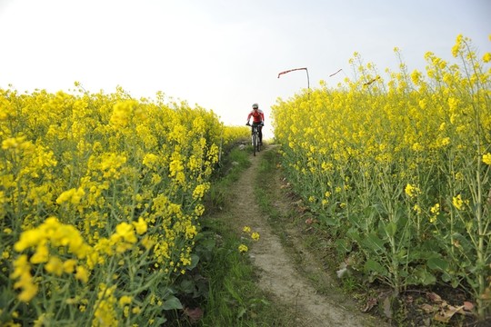 山地車