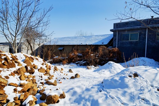 鄉(xiāng)村雪景