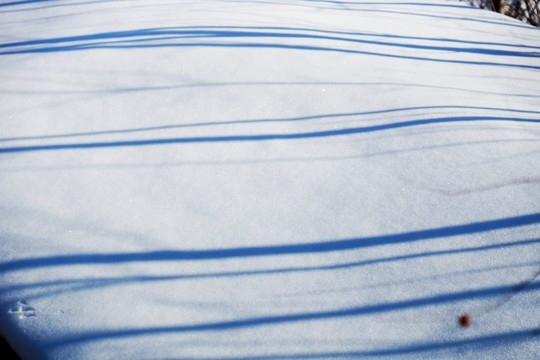 雪影