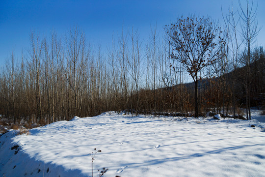 山鄉(xiāng)雪景