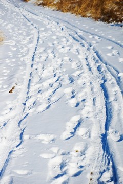 大雪