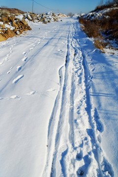 大雪
