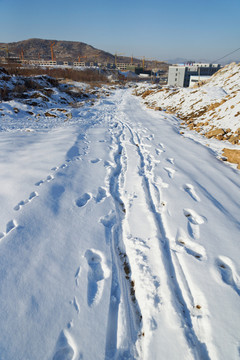 大雪