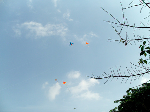 風(fēng)箏藍(lán)天