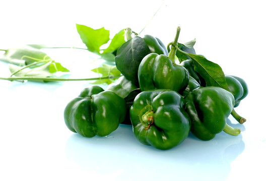 青椒 菜椒