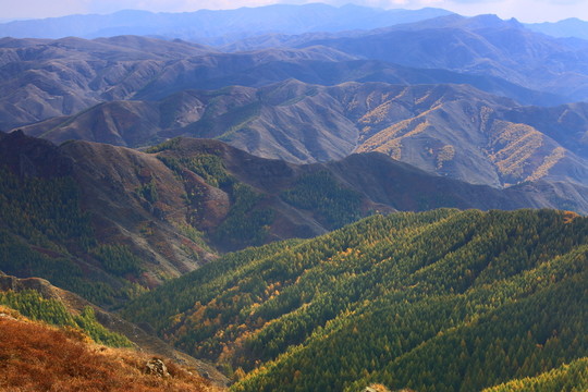 蘇木山