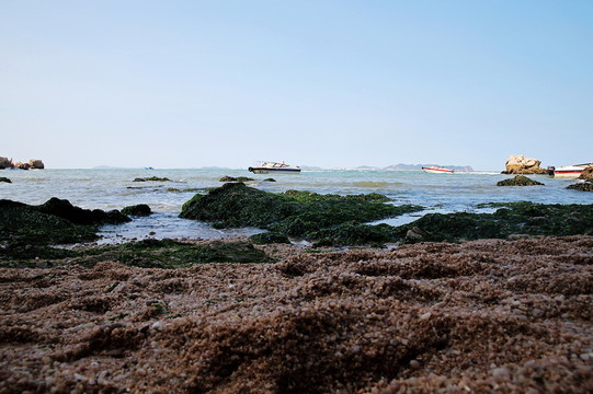 海灘風(fēng)光